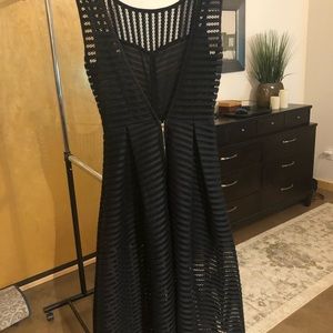 Black Netted Dress